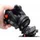 iShoot IS-STH58 Arca-Anker 58 mm runder Sockel