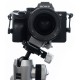 Soporte especial ATOLL-C