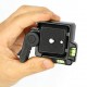 Bexin QR-40  lever-Release Clamp