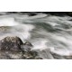 Neutralgraufilter ND8