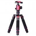 Manbily DT-02 Mini Aluminium Stativ